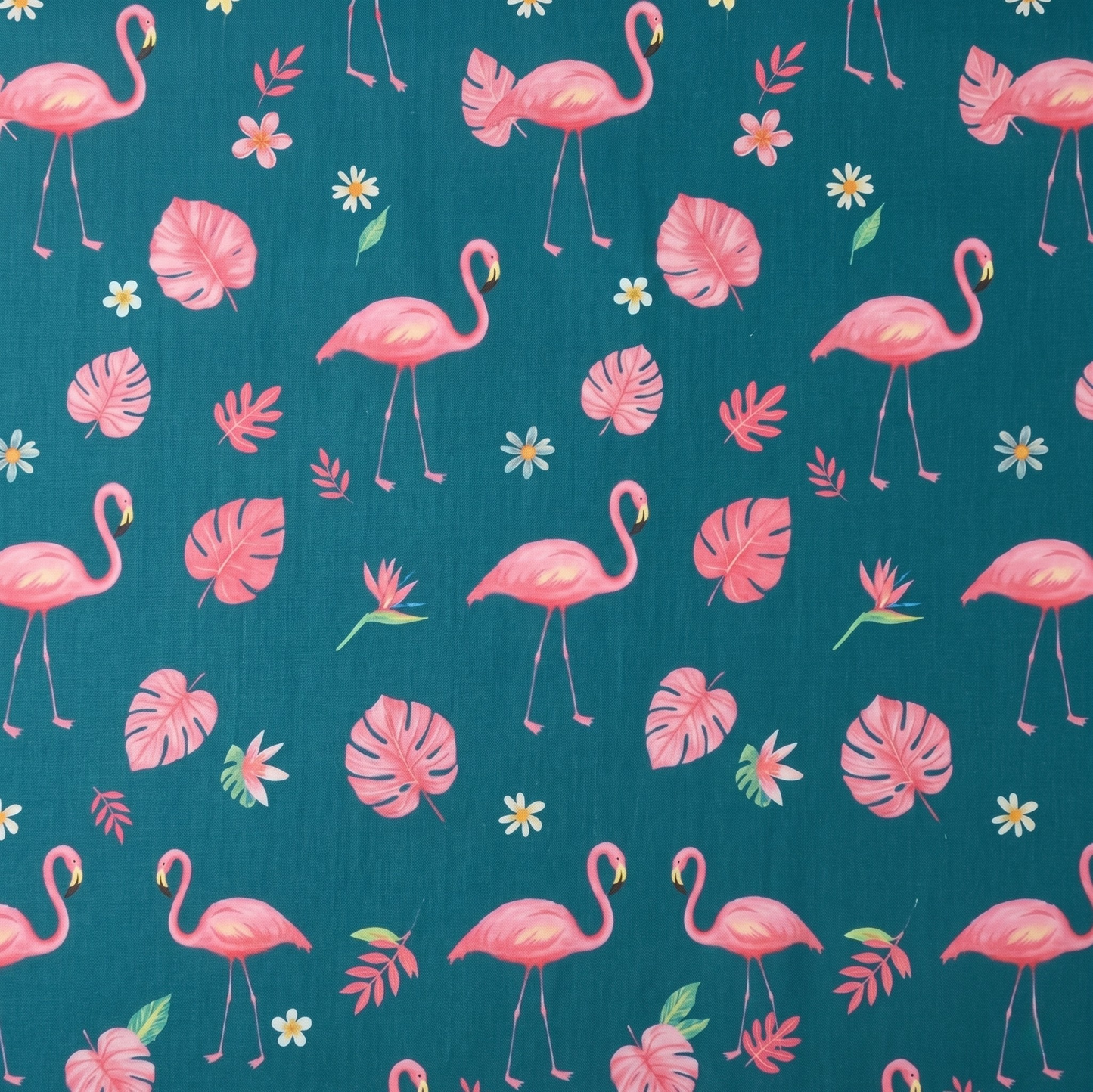 Flamingo Srcub Cap